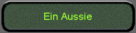  Ein Aussie 